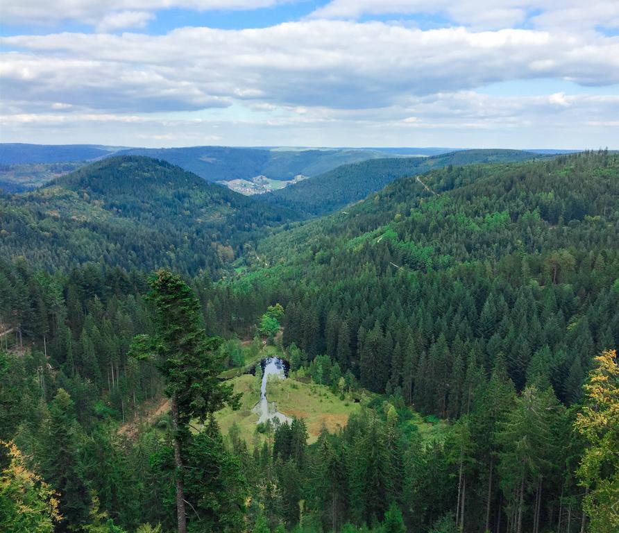 Kraehenbad Hotel Alpirsbach Luaran gambar
