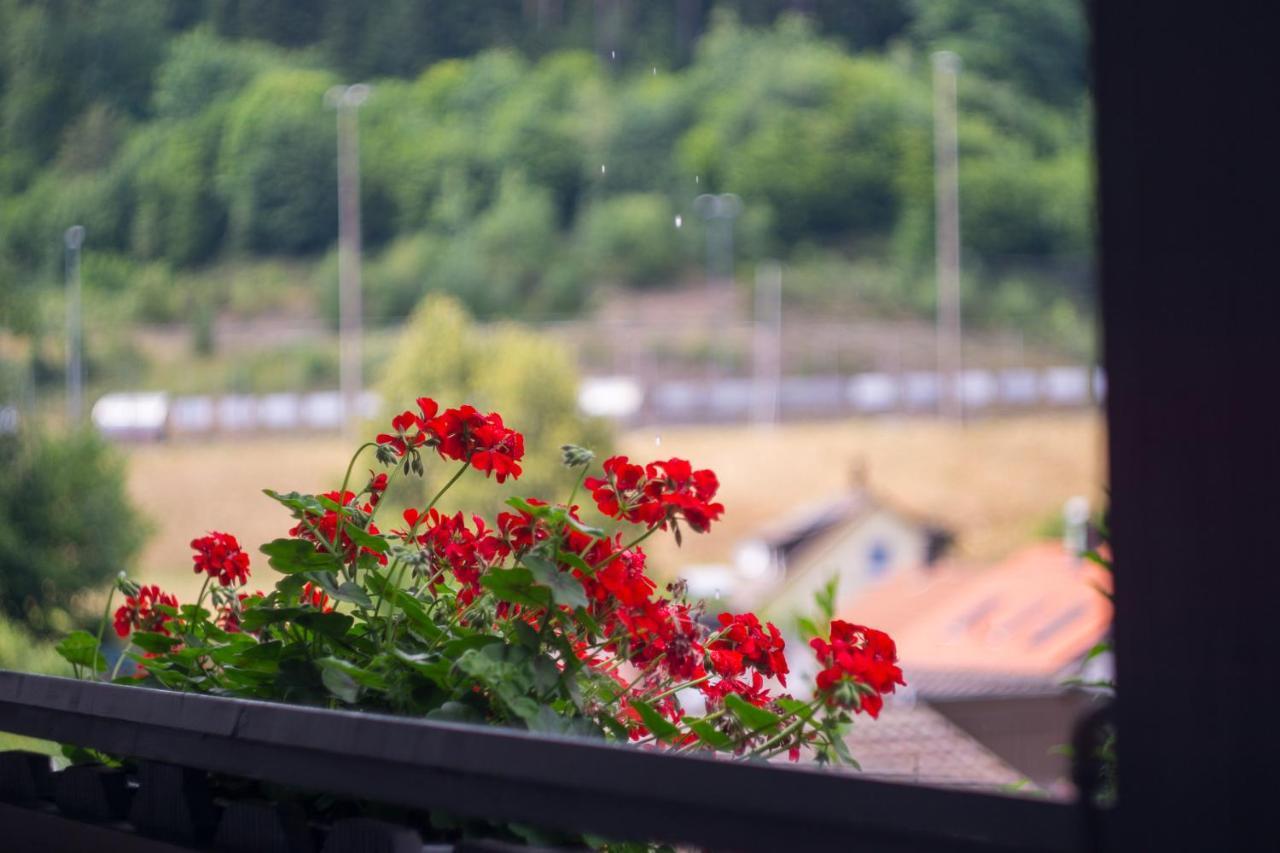 Kraehenbad Hotel Alpirsbach Luaran gambar